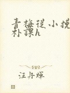 青梅从小摸到大补课h