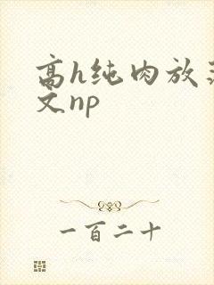 高h纯肉放荡h文np