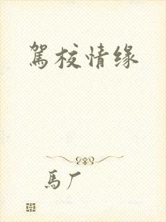 驾校情缘