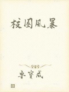 校园风暴封面