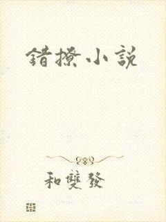 错撩小说