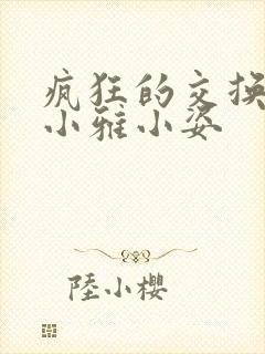 疯狂的交换小静小雅小姿