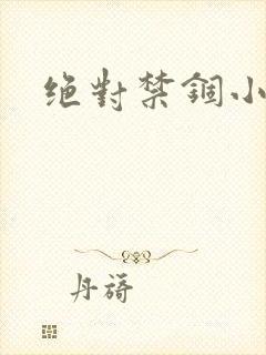 绝对禁锢小说封面