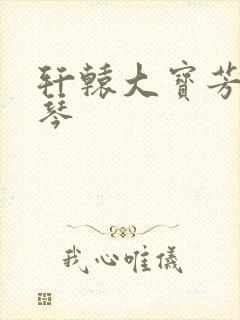 轩辕大宝芳菲雅琴封面
