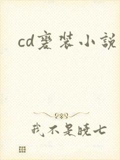 cd变装小说