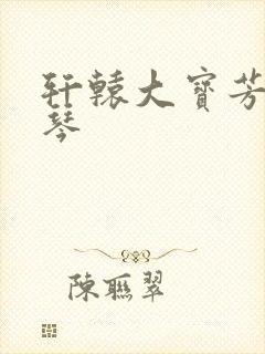 轩辕大宝芳菲雅琴封面