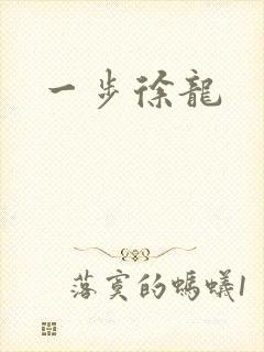 一步徐龙