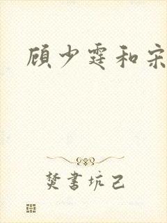 顾少霆和宋斯曼封面