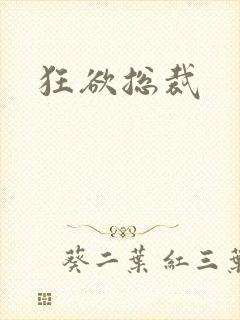 狂欲总裁封面
