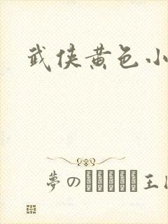 武侠黄色小说封面