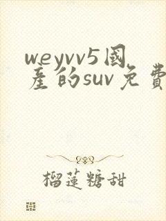 weyvv5国产的suv免费