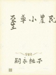 至尊小农民王木生
