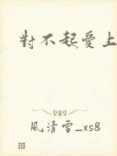 对不起爱上你
