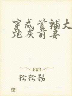穿成首辅大人的炮灰前妻