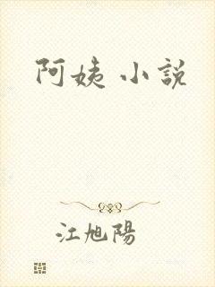 阿姨 小说封面