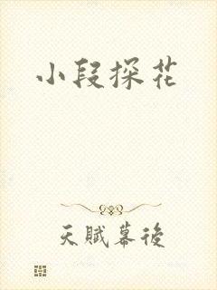 小段探花