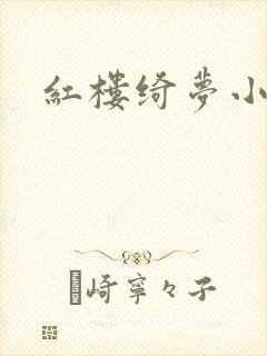 红楼绮梦小说