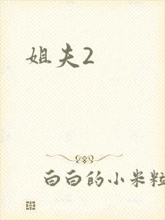 姐夫2