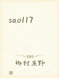 sao117封面