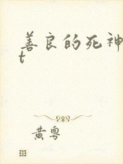 善良的死神txt