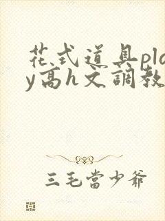 花式道具play高h文调教