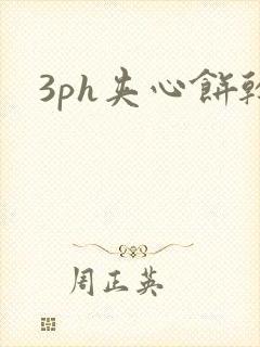 3ph夹心饼干封面
