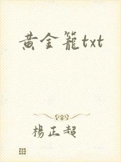 黄金笼txt
