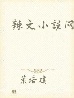 辣文小说网