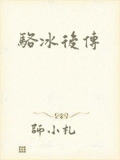 骆冰后传封面