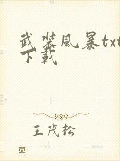 武装风暴txt下载