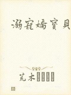 溺宠娇宝贝