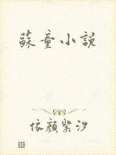 苏童小说