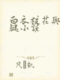 白衣校花与大长腿小说