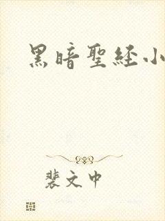 黑暗圣经小说