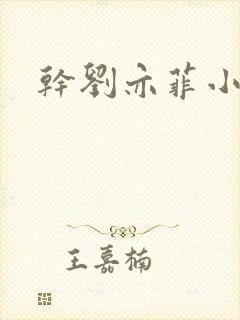 干刘亦菲小说封面
