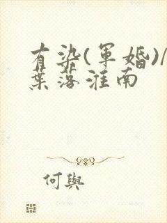 有染(军婚)/叶落淮南封面