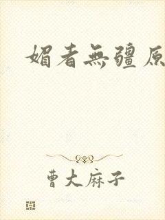 媚者无疆原著