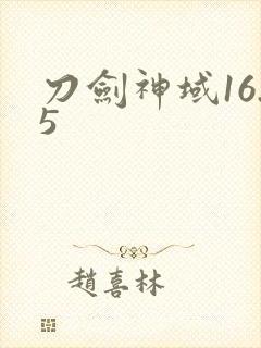 刀剑神域16.5封面