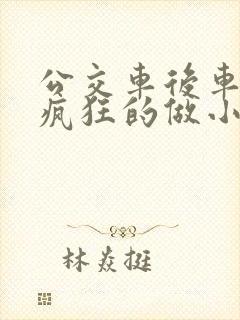 公交车后车座的疯狂的做小封面