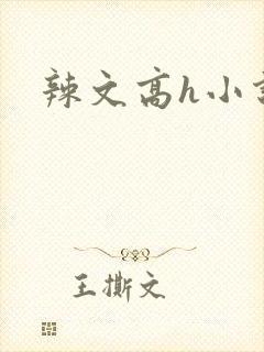 辣文高h小说