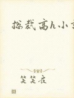 总裁高h小说