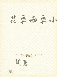 花季雨季小说封面