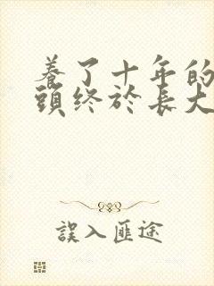 养了十年的小丫头终于长大了