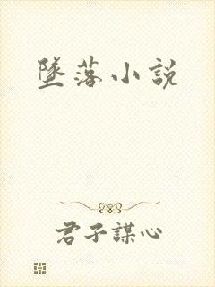 坠落小说