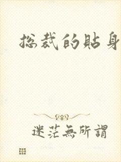总裁的贴身女佣封面