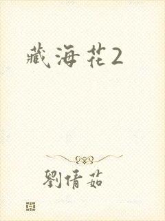 藏海花2