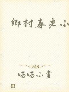 乡村春光小说