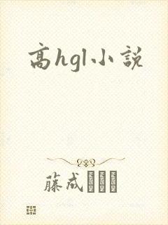 高hgl小说封面