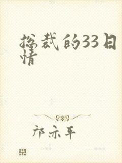 总裁的33日索情