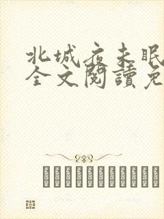 北城夜未眠小说全文阅读免费